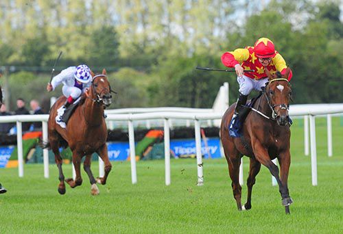 Jet Setting and Shane Foley pictured on their way to victory