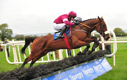 Shattered Love on her way to victory at Tipperary