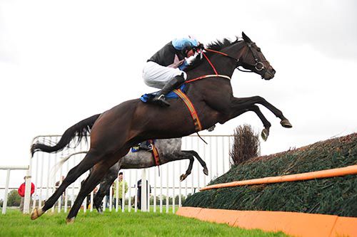Killiney Court in winning form at Tipperary 