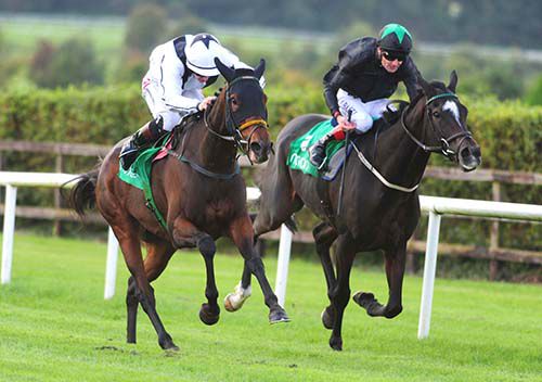 She's A Star (left) and Colin Keane beating Vigil