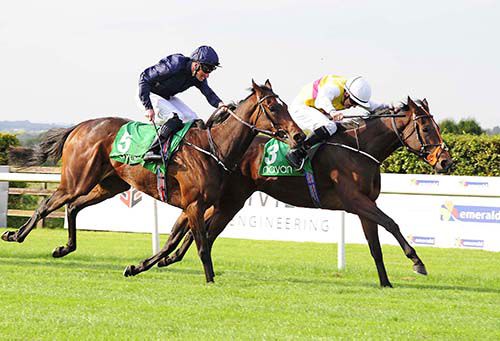 I'm So Fancy (right) and Colm O Donoghue holds off Key To My Heart