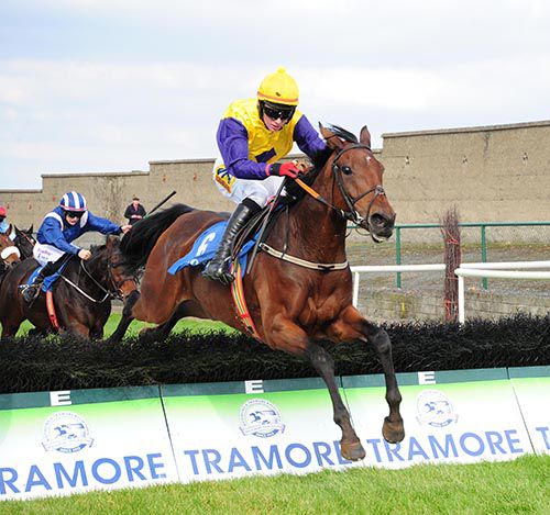 Hurry Kitty and Donagh Meyler