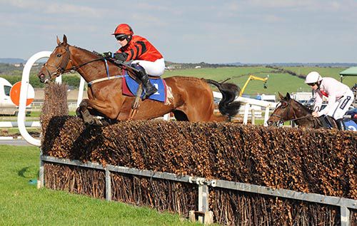 Beautiful Ben and Denis Hogan