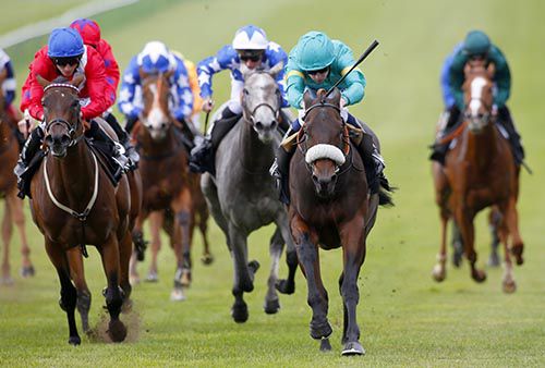 Poet's Vanity (noseband) wins under Oisin Murphy