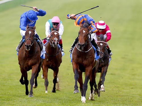 Churchill, blue and orange, winning the Dewhurst