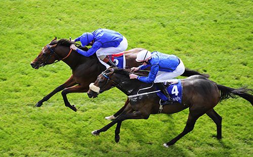 Holistic Approach gets up to beat Ice Canyon (nearest)