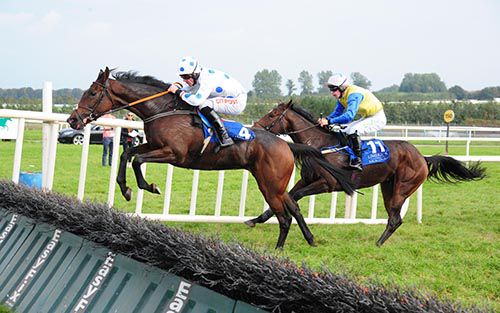 Crystal Pearl (Davy Russell) leads at the last