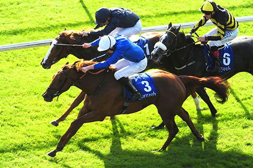 Calare (white cap) stays on best to beat Bound (inside) and Queen Anne's Lace