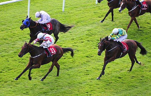 Cradle Mountain (right) finishing second at Curragh