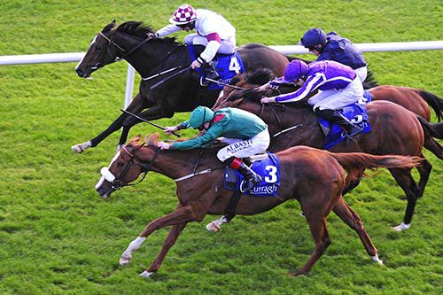 Alveena (nearest) stays on best to beat Soul Searcher (inside)