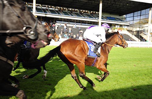 New Direction fends them off in the Curragh
