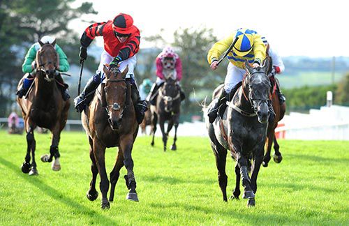 Denis Hogan (red and black) wins on Eiri Na Casca from Bashful Beauty (right)