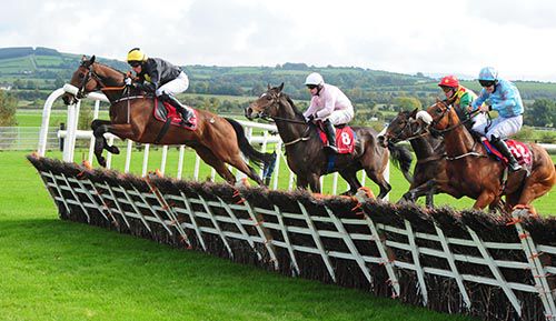 Zanjabeel and Mikey Fogarty lead over the last