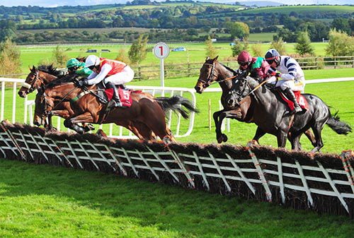 Maroon and green, second from the right, Ambrose McCurtin comes to win on Master Appeal