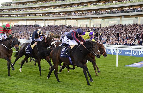 The Tin Man and Tom Queally edge to the front in the Champions Sprint