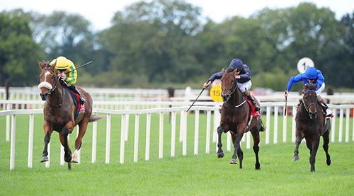 Brendan Bracken leads home Black Hawk War (navy) and Tipstaff (blue)
