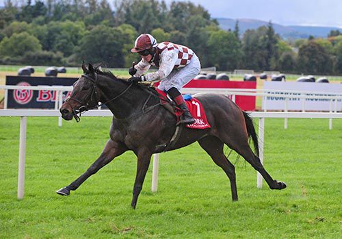 Ask Katie comes home clear under Dylan Hogan