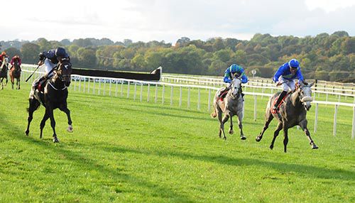 Stormingin (grey with noseband) gets up to deny London (left)