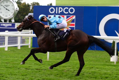 Almanzor