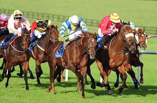 Snoozing Indian and Wayne Lordan white cap beat Ecoeye