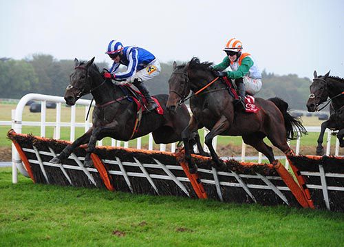 Wilcos Mo Cara (blue) and Summerhill Lewis jump the last together 