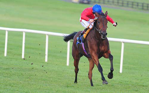 Intimation is ridden out by Colin Keane