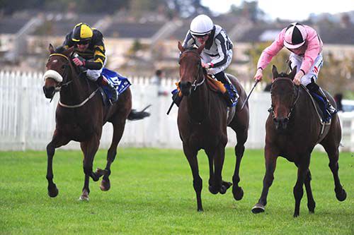 Toe The Line (right) stays on best under Colin Keane to beat Shall We (centre) and Sea Swift