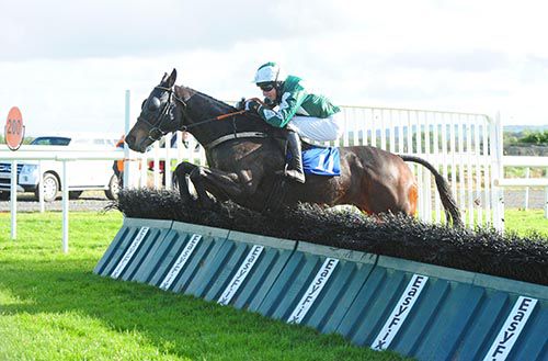 Forjoethepainter enjoyed himself in Roscommon