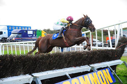 He Rock's soars over a fence in Roscommon