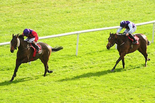 Dont Quit wins from Camile