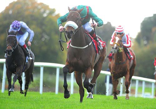 Zelaniya and Pat Smullen