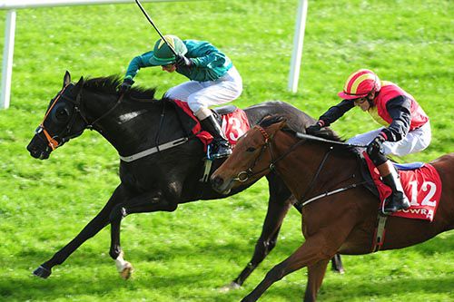 What About Bob and Andrew Breslin (far side) beat Empress Lyla