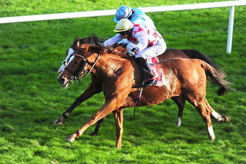 Coolfighter and Denis Lenihan win from Along The Shore