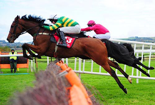 Stand Up And Fight jumps to the front at the last