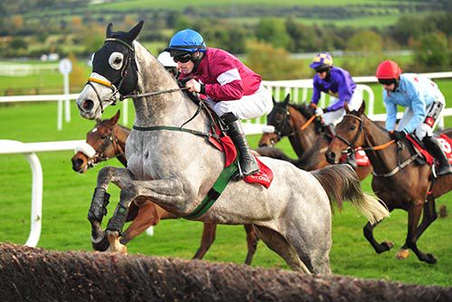 Disko and Sean Flanagan pictured on their way to victory