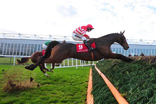 Moss Grove is a bit short at the last, but survives the error under Phillip Enright