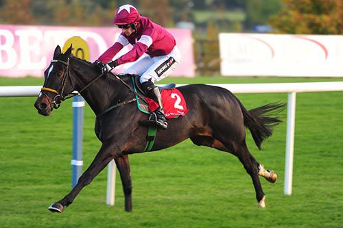 Bel Ami De Sivola is pushed out by Patrick Mullins