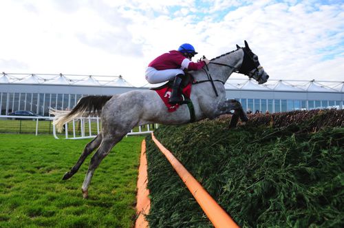 The Noel Meade-trained Disko