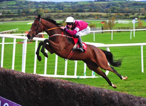 Identity Thief winning at Punchestown last month