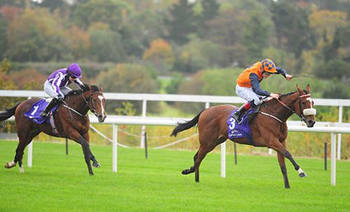 Catch A Wave and Gary Halpin prevail from Perfect Storm and Ana O'Brien