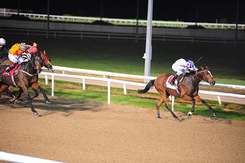 New Direction gallops to victory under Kevin Manning