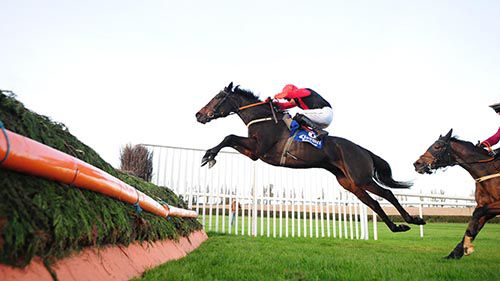 Hello Sweetie puts in a fine leap for Keith Donoghue