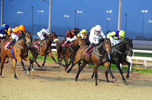 In the light colours Colin Keane wins on Burning Brightly