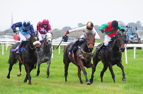 Abbey Magic, second right, prevails in Wexford