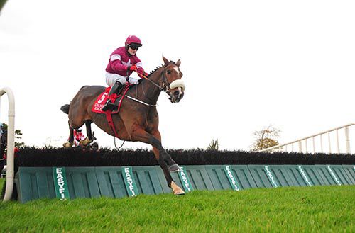 Potters Point jumps the final flight in Ballybrit