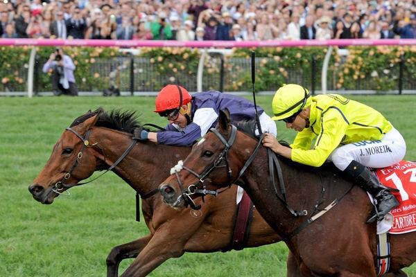 ALMANDIN beats HEARTBREAK CITY 