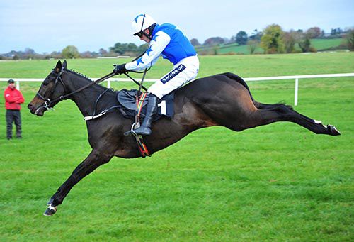 Listen Dear and Ruby Walsh