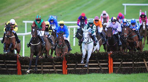 Game Puppeteer (far right) has work to do as Millen Dollar Man and Grey Mountain Mist lead over the last