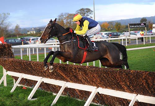 Realt Mor and Keith Donoghue pictured on their way to victory