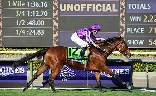 Highland Reel winning at Santa Anita last year 